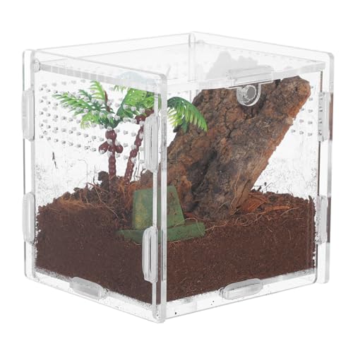 Abaodam Spinnenbox Für Haustiere Zubehör Für Springende Spinnen Schildkrötengehäuse Springspinnengehege Zubehör Tarantula -gehäuse Reptilienterrarium Schildkrötelebensraum Acryl Abaodam Spinnenbox Für Haustiere Zubehör Für Springende Spinnen Schildkrötengehäuse Springspinnengehege Zubehör Tarantula -gehäuse Reptilienterrarium Schildkrötelebensraum Acryl von Abaodam