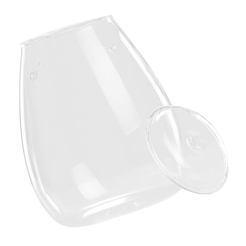 Abaodam Terrarium Glasbehälter Dekorative Glasvase für Mikrolandschaften Transparentes Design für Pflanzen für Tischdeko im Garten Abaodam Terrarium Glasbehälter Dekorative Glasvase für Mikrolandschaften Transparentes Design für Pflanzen für Tischdeko im Garten von Abaodam