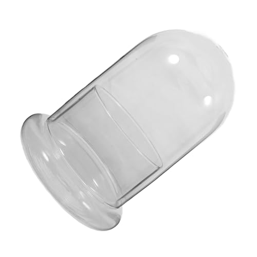 Abaodam Terrarium Glasflasche Großes DIY Mikrolandschaft Pflanzen Behälter Klarer Pflanzentopf für Desktop Dekoration Natürliche Sukkulenten Halter Wohnzimmer Büro von Abaodam