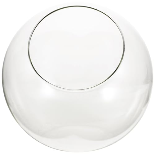 Abaodam Terrarium Globe Für Mikrolandschaft Hochtransparentes DIY Design Für Pflanzendekoration Und von Abaodam