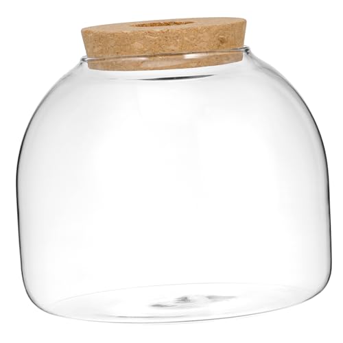 Abaodam Terrarium Jar mit Holzstopfen Kleines Micro Landschaftsgefäß für Hydrokultur Pflanzen Dekoratives Aquarium Geeignet für Zimmerdekoration und Wohnraumgestaltung von Abaodam