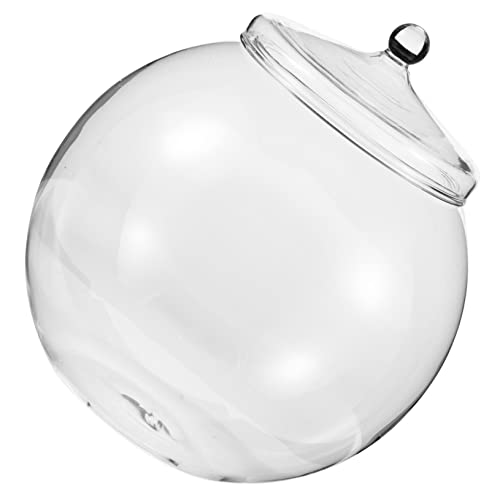 Abaodam Pflanzenterrarium Selbstgemacht Glasterrarium Für Sukkulenten Und Mooslandschaften 15cm ø Mit Deckel Dekorative Hydroponik Flasche Für Pflanzen Vielseitiger Pflanzenhalter Für Abaodam Pflanzenterrarium Selbstgemacht Glasterrarium Für Sukkulenten Und Mooslandschaften 15cm ø Mit Deckel Dekorative Hydroponik Flasche Für Pflanzen Vielseitiger Pflanzenhalter Für von Abaodam