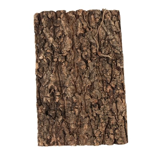 Abaodam Terrarium-champagnerrinde Reptilienhintergrundbrett Dekorationen Für Aquarienzubehör Reptilienhintergrund Für Terrarium Korkenrinde Hintergrund Für Reptilienbecken Coffee von Abaodam