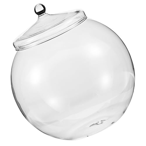 Abaodam Pflanzenterrarium Selbstgemacht Sukkulentenpflanzer Glasterrarium Für Mikrolandschaften ø 15cm Transparentes Ökologisches Moosbehälter Tisch Dekoration Für Esszimmer Abaodam Pflanzenterrarium Selbstgemacht Sukkulentenpflanzer Glasterrarium Für Mikrolandschaften ø 15cm Transparentes Ökologisches Moosbehälter Tisch Dekoration Für Esszimmer von Abaodam