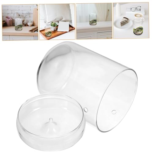 Abaodam Transparentes Terrarium Glasflasche Pflanzgefäß für Mikrolandschaft mit Moos Dekorativer Glasbehälter für Desktop Pflanzen Langlebiger Ökologischer Pflanzenhalter für Büro und von Abaodam