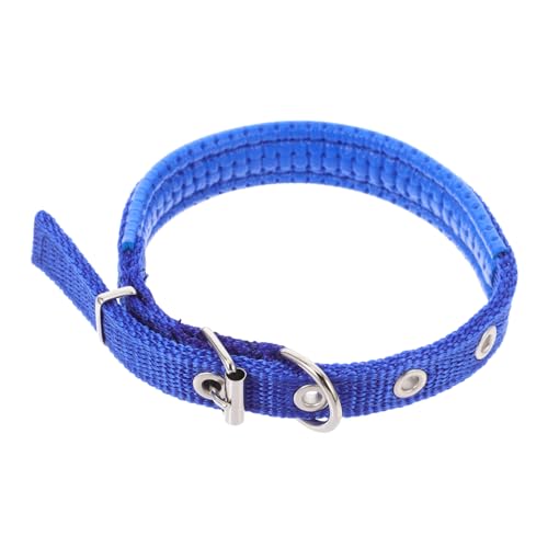 Abaodam Verstellbares Haustierhalsband aus Strapazierfähigem Polyester mit Robustem Legierungsverschluss Geeignet für Kleine Mittelgroße und Große Tiere Modisches Design und Anpassbare Abaodam Verstellbares Haustierhalsband aus Strapazierfähigem Polyester mit Robustem Legierungsverschluss Geeignet für Kleine Mittelgroße und Große Tiere Modisches Design und Anpassbare von Abaodam