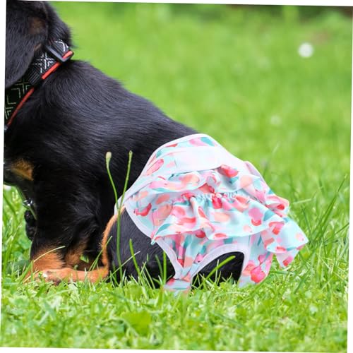 Abaodam Wiederverwendbare Hundewindel aus Atmungsaktivem Saugfähigem Material Komfortable Hygieneschutzhose für Hündinnen und Rüden Waschbare Dekorative Hundepants für Mittlere Hunde von Abaodam