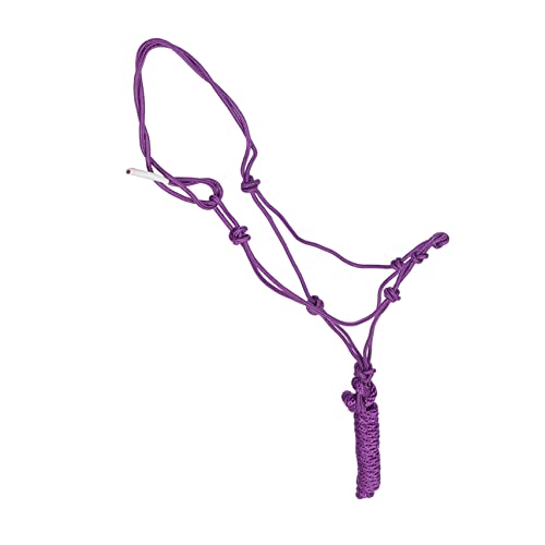 Abaodam Zaum Pferd geflochtenes Seilhalfter Reitausrüstung Reitzubehör Strickhalfter Stoff Zufällige Farbe Abaodam Zaum Pferd geflochtenes Seilhalfter Reitausrüstung Reitzubehör Strickhalfter Stoff Zufällige Farbe von Abaodam