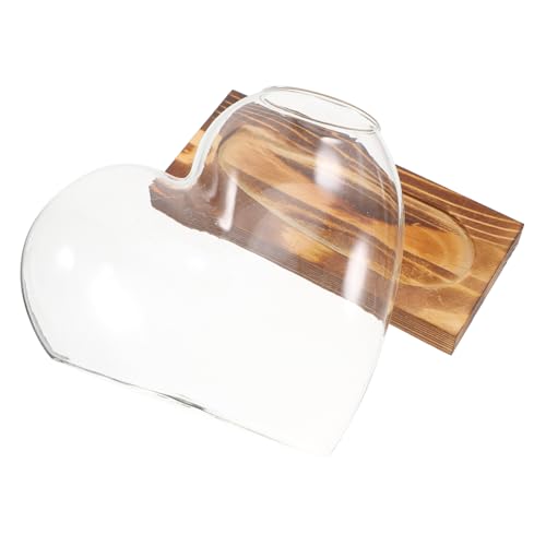 Abaodam hydroponische Vase Fensterausbreitungsstationen Ausbreitung Vasen Vermehrungsstand Desktop-Vermehrungsstation Anzuchtvase aus Glas klare Blumenvase Glasvase hölzern Transparent von Abaodam