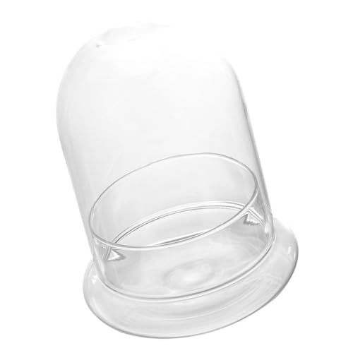 Abaodam Glasterrarium Klare Glasglocke Pflanzgefäß Aus Schauglocke Für Pflanzen Dekorative Glaskuppel Durchsichtige Glasflasche Für Moos-Terrarium Heimwerker Selbstbasteln von Abaodam