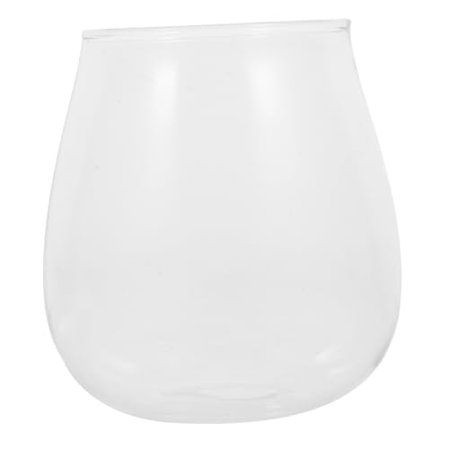 Mikrolandschaft Glasflasche Hochborosilikat Transparentes Terrarium für Pflanzen und Tischdekoration DIY Ökologische Gefäße für Moos und Pflanzen von Abaodam