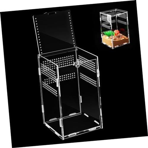 Reptilien Fütterungsbox aus Vielseitige Terrarien für Spinnen Eidechsen und Tragbar Kompakt und Langlebig für Zucht und Beobachtung von Abaodam