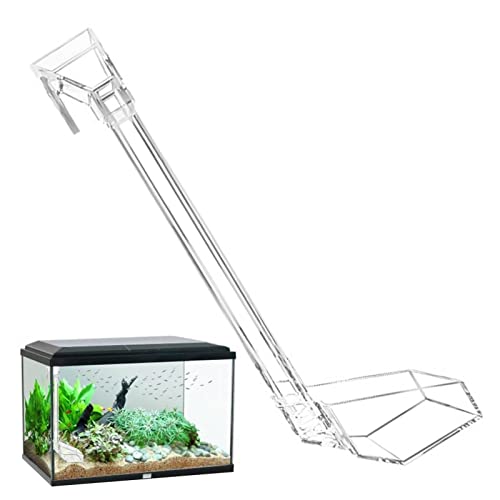 Abbto Acryl-Futterschlauch für Aquarien, Fischfutter aus Acryl mit Fütterungsplatten, Garnelenfutterschlauch mit großem Durchmesser und Teller für Garnelen, Fisch Abbto Acryl-Futterschlauch für Aquarien, Fischfutter aus Acryl mit Fütterungsplatten, Garnelenfutterschlauch mit großem Durchmesser und Teller für Garnelen, Fisch von Abbto