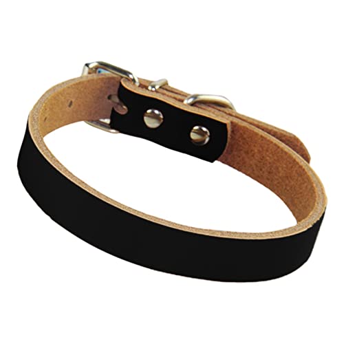 Abbto Hundehalsband aus Leder – Gepolsterter Kragen aus weichem Leder – Haustierhalsbänder für mittelgroße und große Hunde, Geschenk für Hundeliebhaber, Freunde und Eltern Abbto Hundehalsband aus Leder – Gepolsterter Kragen aus weichem Leder – Haustierhalsbänder für mittelgroße und große Hunde, Geschenk für Hundeliebhaber, Freunde und Eltern von Abbto