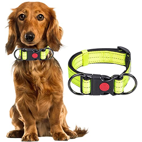 Abbto Reflektierendes Hundehalsband - Reflektierendes Hundehalsband mit Schnalle | Nylon-Trainingshalsband für Welpen, kleine und mittelgroße Hunde von Abbto