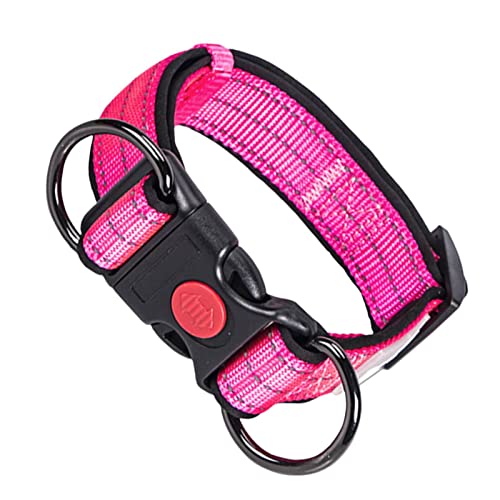 Abbto Verstellbare Hundehalsbänder | Verstellbarer Hundehalsbandriemen | Nylon-Trainingshalsband für Welpen, kleine und mittelgroße Hunde von Abbto