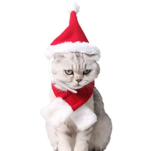 Abbto Weihnachtsmannmütze mit Hund mit Schal - Verstellbare Weihnachtsmannmütze für Hunde und roter Strickschal für Haustiere, Weihnachts-Set, Mütze Abbto Weihnachtsmannmütze mit Hund mit Schal - Verstellbare Weihnachtsmannmütze für Hunde und roter Strickschal für Haustiere, Weihnachts-Set, Mütze von Abbto