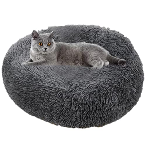 Beruhigendes Donut Hundekorb, Anti Angst Donut Hundekuschelbett, Cuddler Nest Beruhigendes Haustierbett, Donut Hundebett für kleine Hunde und Katzen Abbto Beruhigendes Donut Hundekorb, Anti Angst Donut Hundekuschelbett, Cuddler Nest Beruhigendes Haustierbett, Donut Hundebett für kleine Hunde und Katzen Abbto von Abbto