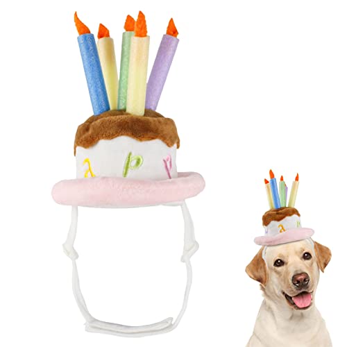Geburtstagstortenhut für Geburtstag, Katze, Geburtstag, wiederverwendbar, in Form einer Geburtstagstorte, für Haustiere, mit Kerzen für Zubehör Abbto Geburtstagstortenhut für Geburtstag, Katze, Geburtstag, wiederverwendbar, in Form einer Geburtstagstorte, für Haustiere, mit Kerzen für Zubehör Abbto von Abbto
