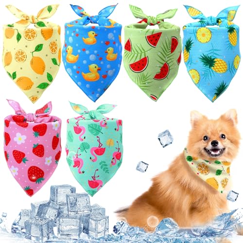 Abbylike 6 Stück kühlende Halstücher für Hunde, Sommer, Dreieckstücher, Lätzchen mit niedlichem Obstmuster, sofortige Kühlung, Halsbandagen, atmungsaktiv, für Jagd, Training, Wandern, Camping, Größe S von Abbylike