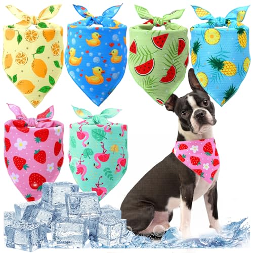 Abbylike 6 Stück kühlende Halstücher für Hunde, Sommer, Dreieckstücher, Lätzchen mit niedlichem Obstmuster, sofortige Kühlung, Halsbandagen, atmungsaktiv, für Jagd, Training, Wandern, Camping, Größe M von Abbylike