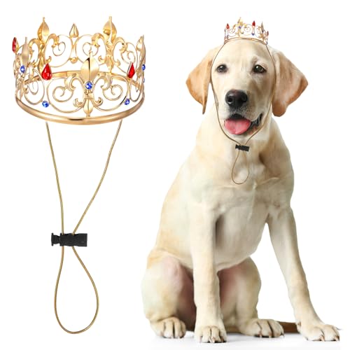 Abbylike Haustier-Königskrone für Halloween-Kostüm, Strass, Prinzessinnenkrone für Hund und Katze, Cosplay, Party, Haarschmuck, Foto-Requisite, groß, Strass von Abbylike