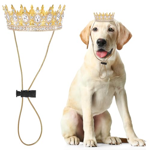 Abbylike Haustier-Königskrone mit Strass, Königin-Krone für Halloween-Kostüm für kleine Hunde, Katzen, Cosplay, Party-Zubehör, Adoptionsfeier, Hochzeit, Geburtstag, Foto-Requisite, Kostüm (weiß, groß) von Abbylike