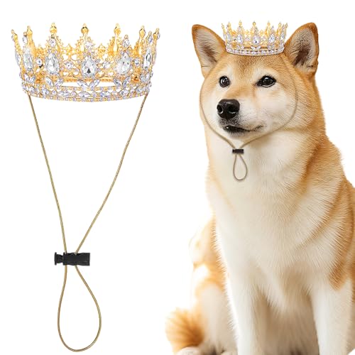 Abbylike Haustier-Königskrone mit Strass, Königin-Krone für Halloween-Kostüm für kleine Hunde und Katzen, Cosplay, Party-Zubehör, Adoptionsfeier, Hochzeit, Geburtstag, Foto-Requisite, Kostüm (Weiß, M) von Abbylike