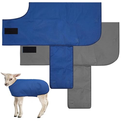 Abbylike Leichte Schafdecke mit verstellbarem Bauchgurt, 61 x 36 cm, atmungsaktive Ziegendecke für Show-Schaf, Lamm, Grau und Blau, 2 Stück von Abbylike