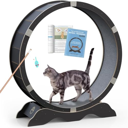 Katzenrad (Schwarz) von Athlecat