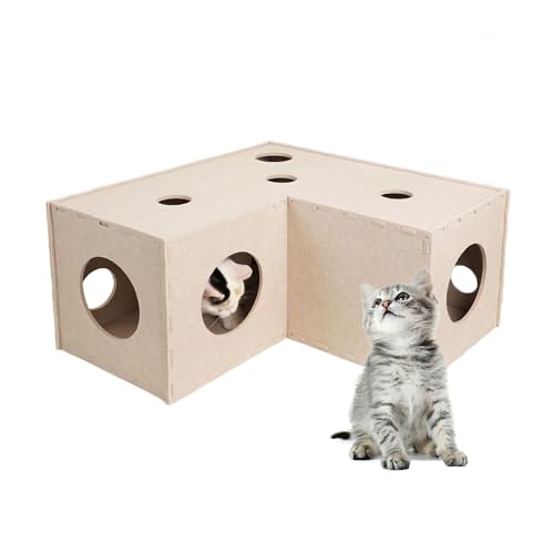 Aberatail Katzentunnel Versteck für Indoor-Katzen - Weiches Filzspielzeug mit interaktivem Guckloch, Höhle und Würfel für kleine, mittelgroße und große Katzen von Aberatail