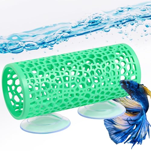 Abizoo Betta Fischtunnel Grün Neu von Abizoo