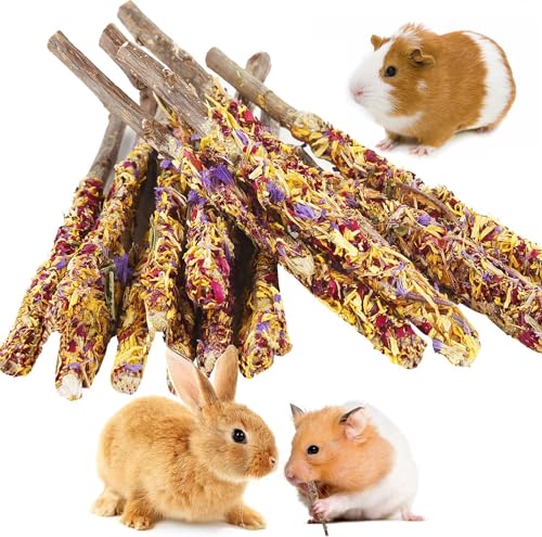 Abizoo Bunny Kauspielzeug für Kaninchen, natürliche Apfelholzstäbe mit Blütenblättern, gut für Chinchillas, Meerschweinchen, Hamster, Zahnpflege, Bunny Pops, Leckerlis für kleine Haustiere, natürlich, von Abizoo