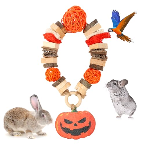 Abizoo Kaninchen Spielzeug Holz,Halloween Hamster Kauspielzeug Zahnpflege Leckerlis Kleintiere Chinchilla Meerschweinchen Hasen Hamster wellensittich Rennmäuse zubehör Kaubälle Apfelholz Abizoo Kaninchen Spielzeug Holz,Halloween Hamster Kauspielzeug Zahnpflege Leckerlis Kleintiere Chinchilla Meerschweinchen Hasen Hamster wellensittich Rennmäuse zubehör Kaubälle Apfelholz von Abizoo
