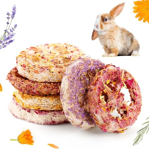 Abizoo 6 Stück Kaninchen Kauspielzeug Luffa,Natürliche Luffa mit Blütenblättern meerschweinchen Futter Hasen Spielzeug für Hamster, Kaninchen, Ratten, Chinchilla von Abizoo