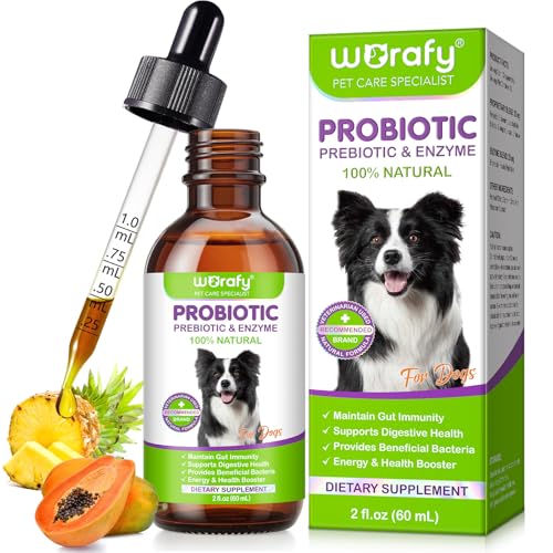 Probiotika Hund - Liefert Nützliche Bakterien | Probiotika Hunde Darmflora | Präbiotika Hund Aufrechterhaltung der Darmimmunität | hunds probiotika Unterstützt die Verdauungsgesundheit -0.2 FL.oz Probiotika Hund - Liefert Nützliche Bakterien | Probiotika Hunde Darmflora | Präbiotika Hund Aufrechterhaltung der Darmimmunität | hunds probiotika Unterstützt die Verdauungsgesundheit -0.2 FL.oz von Abodiuss