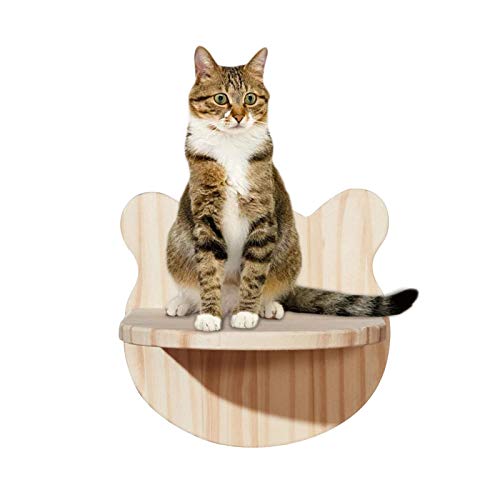 Abonda Katzen-Wandtreppe, Massivholz, Kätzchen, Klettertreppen, Sitzstangen, Möbel für Wand, Kätzchen, Hängematte, Wandhalterung, zum Ausruhen, Spielen Abonda Katzen-Wandtreppe, Massivholz, Kätzchen, Klettertreppen, Sitzstangen, Möbel für Wand, Kätzchen, Hängematte, Wandhalterung, zum Ausruhen, Spielen von Abonda