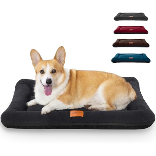 Abuandi Hundebettmatte, unzerstörbares Hundebett, kausichere Haustiermatte für große, mittelgroße und kleine Haustiere, waschbar und rutschfest, für Hunde und Katzen, gemütliches Schlafen Abuandi Hundebettmatte, unzerstörbares Hundebett, kausichere Haustiermatte für große, mittelgroße und kleine Haustiere, waschbar und rutschfest, für Hunde und Katzen, gemütliches Schlafen von Abuandi