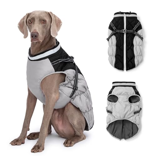 Abuandi Hundemantel ABCC696 Schwarz XS von Abuandi
