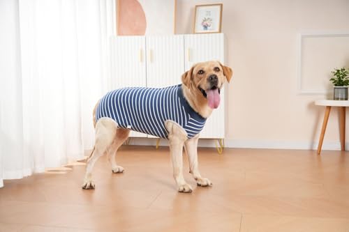 Abuandi Recovery-Anzug für Hunde nach der Operation, professionelle Hund chirurgische Anzug für weibliche Spay, männlich Neuter, E-Halsband & Kegel Alternative Hund Onesie für Bauch Wunden Abuandi Recovery-Anzug für Hunde nach der Operation, professionelle Hund chirurgische Anzug für weibliche Spay, männlich Neuter, E-Halsband & Kegel Alternative Hund Onesie für Bauch Wunden von Abuandi