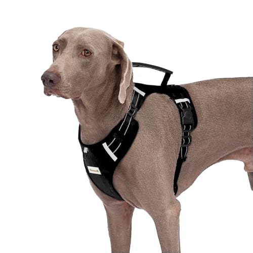 Hundegeschirr, verstellbar, atmungsaktiv, PVC-Griff, reflektierend, mit Leine für kleine, mittelgroße und große Hunde, einfach zu gehen, zu trainieren, Camping, Fluchtkontrolle Hundegeschirr, verstellbar, atmungsaktiv, PVC-Griff, reflektierend, mit Leine für kleine, mittelgroße und große Hunde, einfach zu gehen, zu trainieren, Camping, Fluchtkontrolle von Abuandi