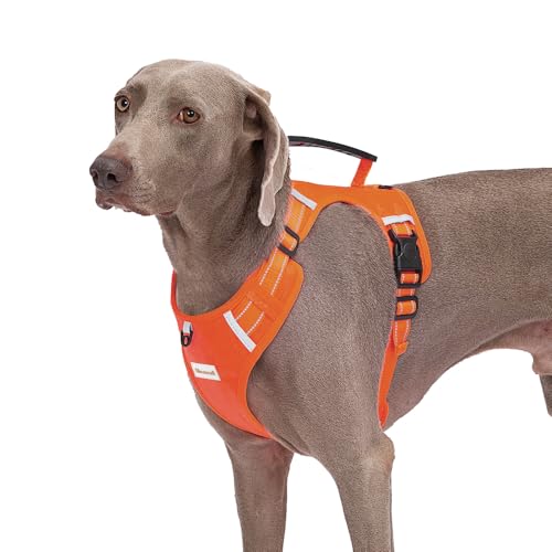 Hundegeschirr, verstellbar, atmungsaktiv, PVC-Griff, reflektierend, mit Leine für kleine, mittelgroße und große Hunde, einfach zu gehen, zu trainieren, Camping, Fluchtkontrolle Hundegeschirr, verstellbar, atmungsaktiv, PVC-Griff, reflektierend, mit Leine für kleine, mittelgroße und große Hunde, einfach zu gehen, zu trainieren, Camping, Fluchtkontrolle von Abuandi