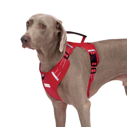 Hundegeschirr, verstellbar, atmungsaktiv, PVC-Griff, reflektierend, mit Leine für kleine, mittelgroße und große Hunde, einfach zu gehen, zu trainieren, Camping, Fluchtkontrolle Hundegeschirr, verstellbar, atmungsaktiv, PVC-Griff, reflektierend, mit Leine für kleine, mittelgroße und große Hunde, einfach zu gehen, zu trainieren, Camping, Fluchtkontrolle von Abuandi