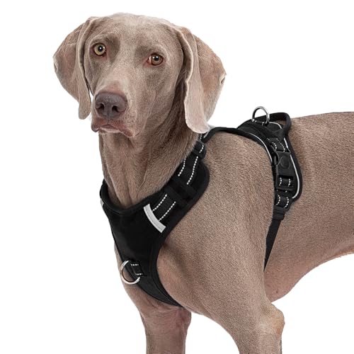 Taktisches Hundegeschirr, reflektierend, verstellbar, mit Griff, einfache Kontrolle, für Training, Spazierengehen, kein Ziehen, Hundegeschirr für kleine, mittelgroße und große Hunde, Namensschild zum Taktisches Hundegeschirr, reflektierend, verstellbar, mit Griff, einfache Kontrolle, für Training, Spazierengehen, kein Ziehen, Hundegeschirr für kleine, mittelgroße und große Hunde, Namensschild zum von Abuandi