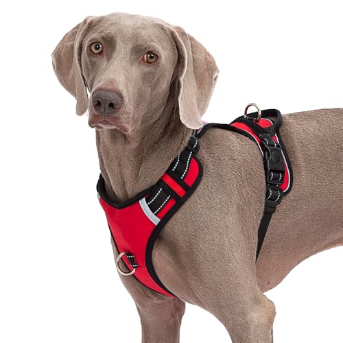 Taktisches Hundegeschirr, reflektierend, verstellbar, mit Griff, einfache Kontrolle, für Training, Spazierengehen, kein Ziehen, Hundegeschirr für kleine, mittelgroße und große Hunde, Namensschild zum Taktisches Hundegeschirr, reflektierend, verstellbar, mit Griff, einfache Kontrolle, für Training, Spazierengehen, kein Ziehen, Hundegeschirr für kleine, mittelgroße und große Hunde, Namensschild zum von Abuandi