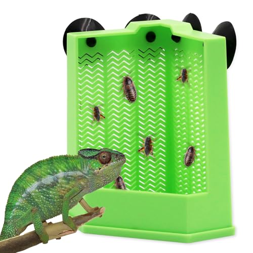 Chamäleon-Futterspender für Reptilien, Eck-Jagdschale, Glas-Wandmontage, Insekten-Futterbox mit Saugnäpfen, geeignet für Eidechsen, Bartagamen, Leguane, Gecko, Kröte, Frosch (Grün, L) von Abustle pig