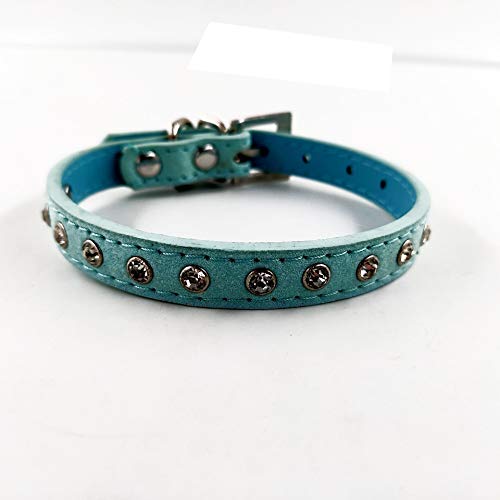 Accod Haustierhalsband aus Leder für Katzen, Welpen, kleine und mittelgroße Hunde, verstellbar, 22–28 cm, bequem, Blau von Accod