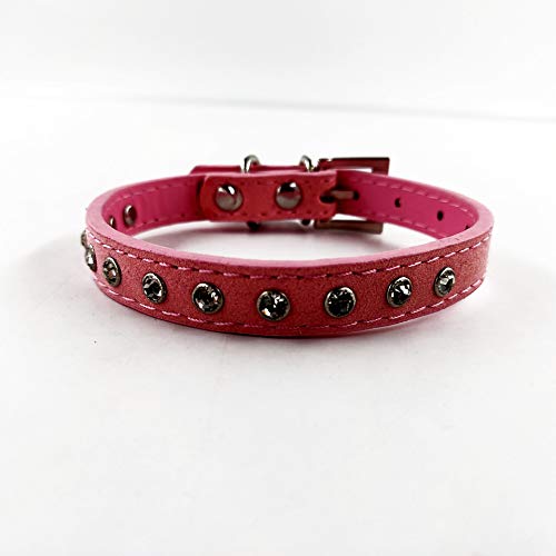 Accod Hundehalsband aus Leder für Katzen, Welpen, kleine und mittelgroße Hunde, verstellbar, 22–28 cm, bequem von Accod