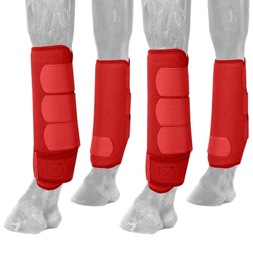 AccompMe Pferdestiefel Schienenstiefel für Pferde, 4 Stück, Schutzstiefel, Untergliedmaßen, Bürsten, Pferdestiefel, wiederverwendbar, Vorder-, Hinterbeinschutzausrüstung, Rot, Größe S AccompMe Pferdestiefel Schienenstiefel für Pferde, 4 Stück, Schutzstiefel, Untergliedmaßen, Bürsten, Pferdestiefel, wiederverwendbar, Vorder-, Hinterbeinschutzausrüstung, Rot, Größe S von AccompMe