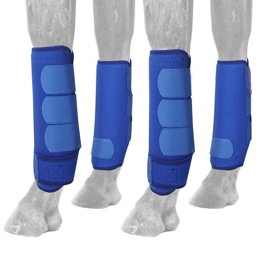 AccompMe Pferdestiefel Schienenstiefel für Pferde, 4 Stück, Schutzstiefel für die unteren Gliedmaßen, Bürsten, Hufstiefel, wiederverwendbar, Vorderbeinschutz, Schutzausrüstung (blau, klein) von AccompMe